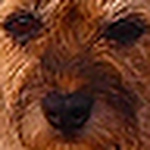 Profile Picture of Tim Gardner Pics (@tim gardner pics) on Flickr