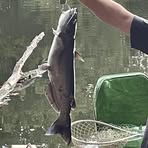 Profile Picture of John M Ditterline (@john.m.ditterline) on Facebook