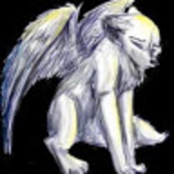 Profile Picture of Draven Fritzler (@djfritz2007) on Poshmark