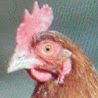 Profile Picture of Daniel G Mccreery (@daniel-g-mccreery) on Quora