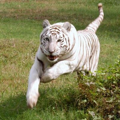 Profile Picture of Marc Hellmich (@MHellmich) on Twitter