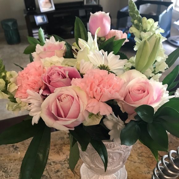 Profile Picture of Daniela Cervera (@danielacervera) on Poshmark