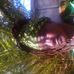 Profile Picture of Shirley Kemp (@shirley.kemp.330) on Facebook