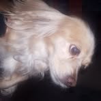 Kimberli Baldozano - Facebook Profile Picture of Kimberli Baldozano (@kimberli.baldozano) on Facebook