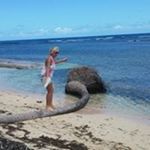 Profile Picture of marci appleton (@marciappleton) on Instagram