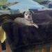 Profile Picture of Bobbi Cabe (@bobbigurl) on Pinterest