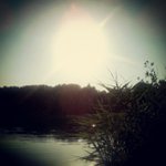 Profile Picture of Eric Rauscher (@goofywiltav) on Instagram