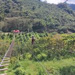 Profile Picture of Bridgette Córdova Gonzales (@bridgettecordova) on Instagram