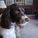 Profile Picture of Mike Bauer (@mike.bauer.3386585) on Facebook