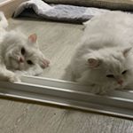 Profile Picture of 김상호 (@r__u.k) on Instagram