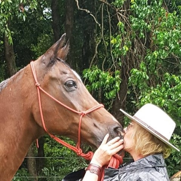 Profile Picture of Lisel Collins (@liselcollins) on Poshmark