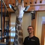 Mike Pepin - Instagram Profile Picture of Mike Pepin (@helloimmike103) on Instagram