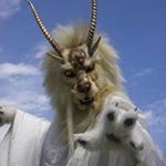 Profile Picture of Shaun Jones (@piedmontbusinesspartners) on Instagram