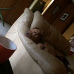 Joshua Winans - Instagram Profile Picture of Joshua Winans (@joshua.winans) on Instagram