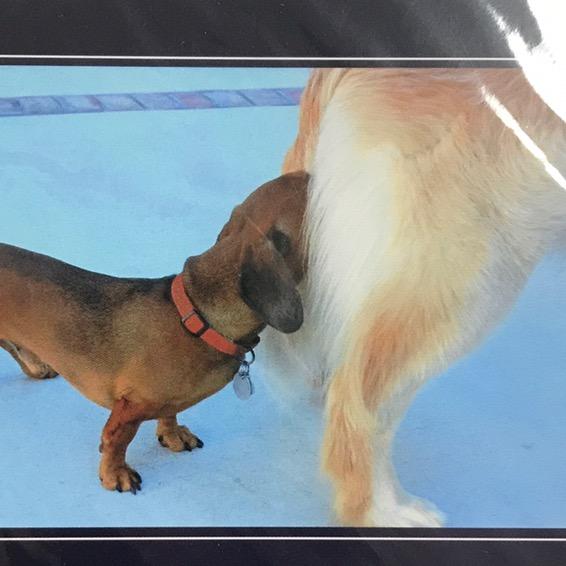 Profile Picture of Matthew dearden (@matt.d15) on Tiktok