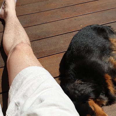 Profile Picture of Ben Pigott (@ebpigott) on Twitter