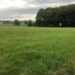 Profile Picture of Edward Wagner (@edward_121223) on Instagram