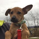 Profile Picture of Aidan Neavin (@aidann3345) on Instagram