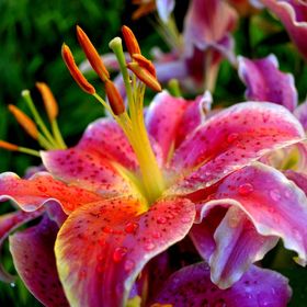 Profile Picture of Debbie Wilson (@dwilson90281) on Pinterest