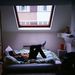 Profile Picture of Kyle Genander (@kgenander) on Pinterest