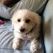 Profile Picture of Cathy Swope (@cathiswope) on Pinterest