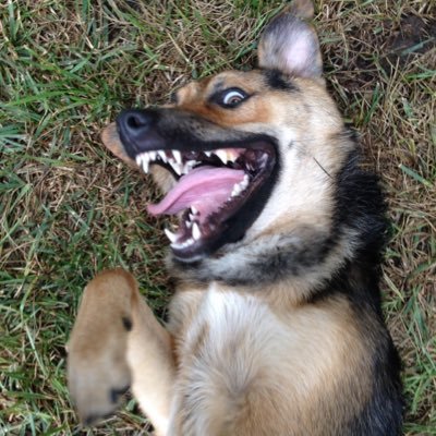 Profile Picture of Garrett Draper (@GarrettDraper25) on Twitter