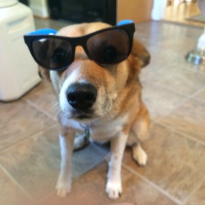 Profile Picture of Claire McCrae (@ClaireMcCrae3) on Twitter
