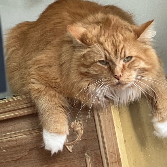 Profile Picture of Erika Sudekum (@erika_sudekum) on Poshmark