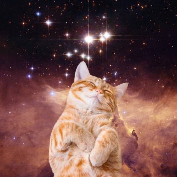 Profile Picture of Kepler 0 (@kepler0) on Poshmark