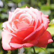 Profile Picture of Carlota Suarez (@carlotasuarez8354) on Youtube