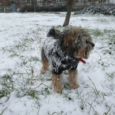 Profile Picture of Eric Iglesias (@EricRMA) on Twitter