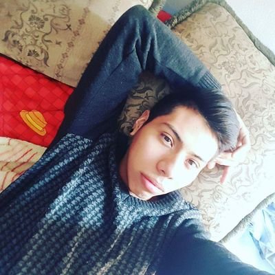 Profile Picture of Alejandro Palomo (@AlePalomo444) on Twitter