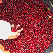 Profile Picture of Leigh Joseph (@leighjoseph203) on Youtube