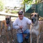 Profile Picture of Bruce Gibson (@bruce.gibson.1936) on Instagram