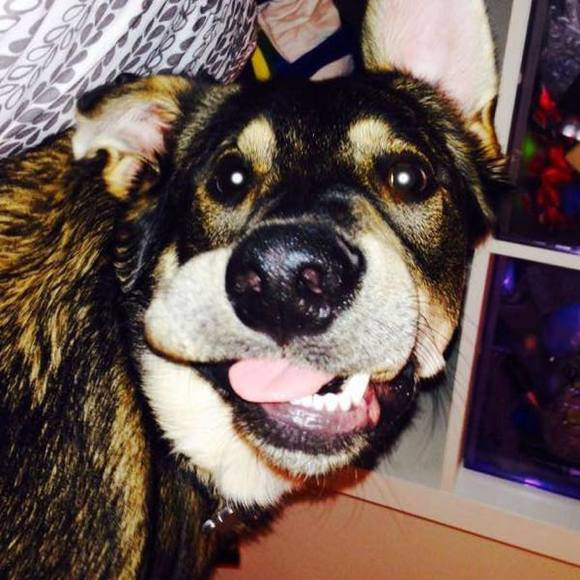 Ireene Brees - Poshmark Profile Picture of Ireene Brees (@ireenebrees) on Poshmark