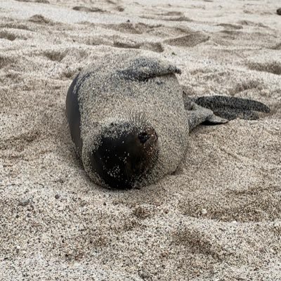 Profile Picture of Ben Safford (@ben_safford) on Twitter