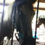 Profile Picture of Margaret Keyes (@maggie_keyes2) on Instagram