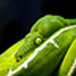 Profile Picture of Malcolm Smith (@malcolm.smith1) on Flickr