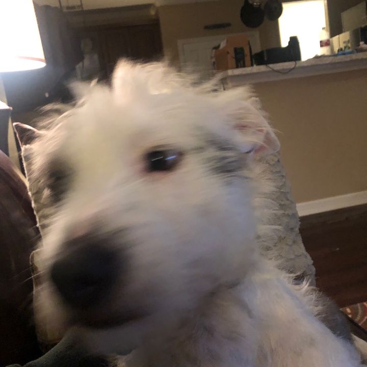 Profile Picture of kreinsenbrown (@kreinsenbrown) on Tiktok