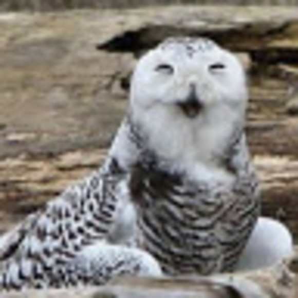 Profile Picture of Kateryna Fedosova (@kateyn99) on Poshmark