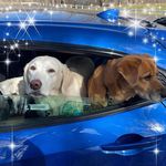 Profile Picture of Jeff Haas (@sundridge250) on Instagram