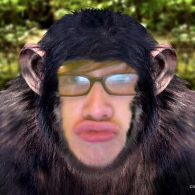 Profile Picture of Stephen Swaney (@saturdaytrain) on Twitter