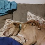 Profile Picture of Troy Reitz (@troy.reitz.2025) on Facebook