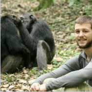 Profile Picture of Nick Brazeau (@NFBrazeau) on Twitter