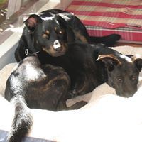 Profile Picture of Eric Feig (@eric-feig-1) on Quora