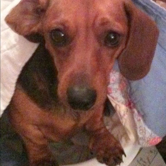 Profile Picture of Cathy Allen (@rubyflippers) on Poshmark