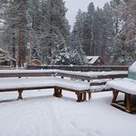 Profile Picture of Richard McMurtrey (@richardmcmurtrey) on Instagram