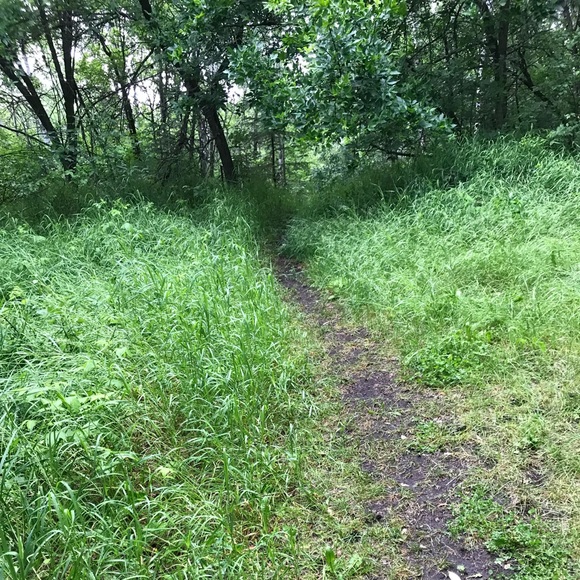 Profile Picture of Jessica Denkers (@jes992) on Poshmark