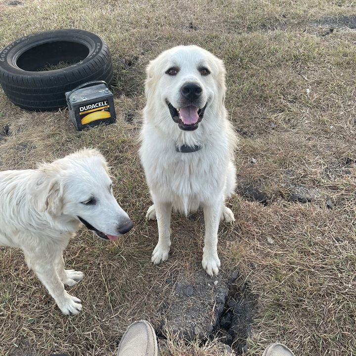 Profile Picture of tyler mcbride (@tyler.mcbride) on Tiktok