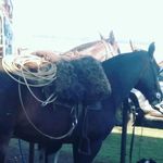 Profile Picture of Benjamin boltri (@benja_boltri) on Instagram